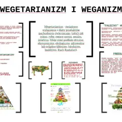 Wegetarianizm a weganizm: Kluczowe różnice i która dieta dla Ciebie?