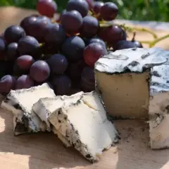 Ser dla wegetarian? Sprawdź, jak wybrać bezpieczny i smaczny!