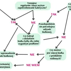 Białko w diecie wege: Jak bilansować bez niedoborów? Poradnik