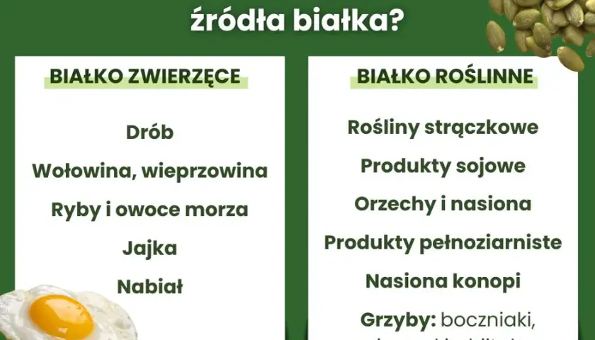 Najlepsze roślinne źródła białka: Lista, porady, pełnowartościowa dieta