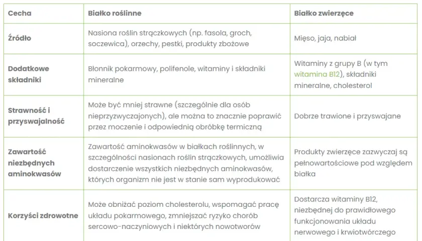 Białko roślinne: Czy jest pełnowartościowe? Obalamy mity!
