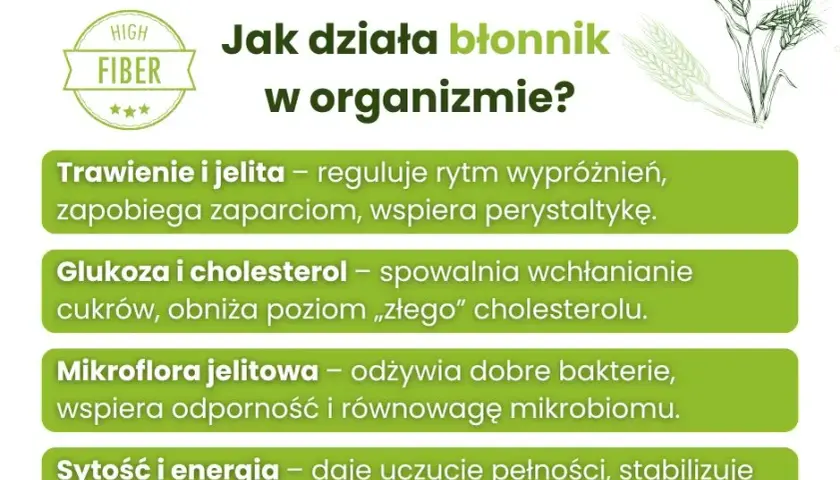 Włókna roślinne: Jak błonnik odmieni Twoje jelita i zdrowie?