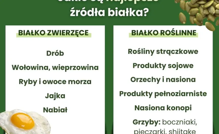 Najlepsze roślinne źródła białka: Lista, porady, pełnowartościowa dieta