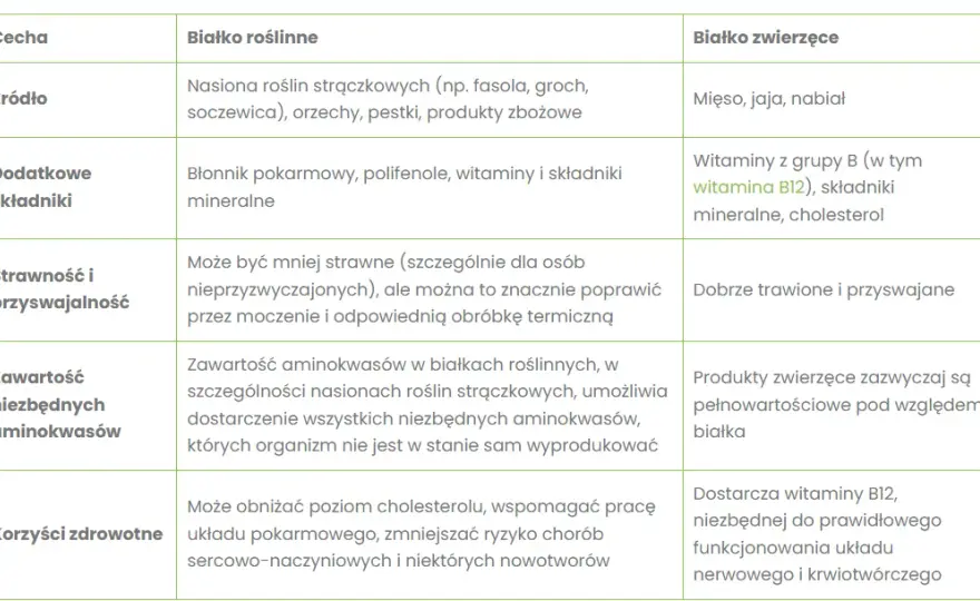 Białko roślinne: Czy jest pełnowartościowe? Obalamy mity!