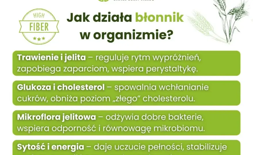 Włókna roślinne: Jak błonnik odmieni Twoje jelita i zdrowie?