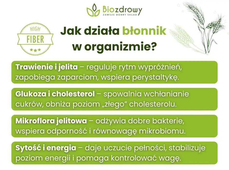 Włókna roślinne: Jak błonnik odmieni Twoje jelita i zdrowie?