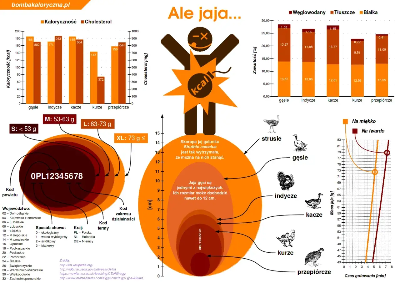 jajka wartości odżywcze infografika