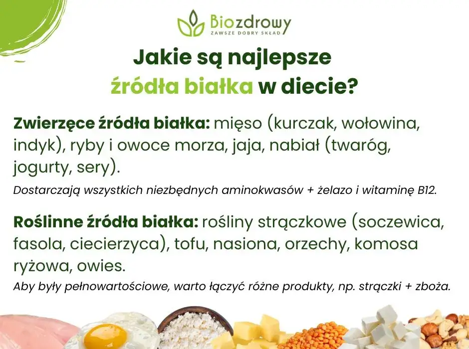 Roślinne źródła białka różnorodność produktów